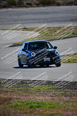 media/Feb-18-2024-Extreme Speed (Sun) [[27751ef890]]/Green Group/